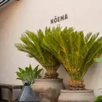 5 Star Mykonos 5 Star Mykonos