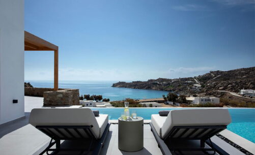 Paradisenia Paradisenia