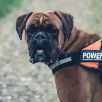 Keep Me Safe Keep Me Safe